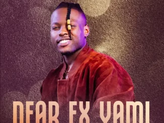 Mduduzi Ncube - Dear Ex Yami ft. Fanatic SA, Stallin Matsitsa, Caeser & Ayanda Art