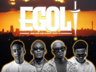 Cowboii - eGoli ft Mellow & Sleazy, Scotts Maphuma, Eltee & Novatron