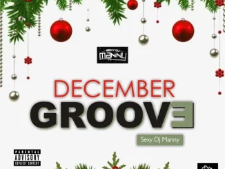 Sexy DJ Manny - December Groove