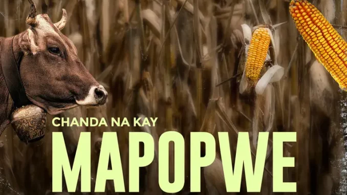 Chanda Na Kay - Mapopwe ft. Sianene & Coopticker