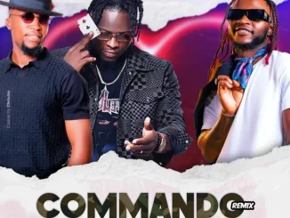 League des premiers - Commando Remix ft. Tim Kayzer