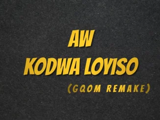 Deejay Zebra SA - Aw Kodwa Loyiso (Gqom Remake) ft. Protée