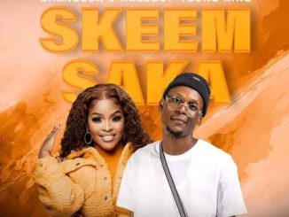 Shandesh - Skeem Saka ft. Naleboy Young King & Hitler SA