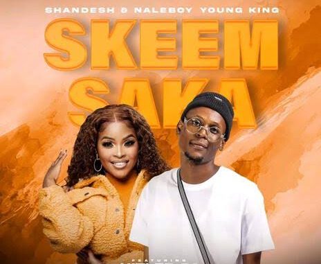 Shandesh - Skeem Saka ft. Naleboy Young King & Hitler SA