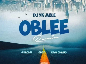 DJ YK Mule - Oblee (Remix) ft. Slimcase, Qdot & Kashcoming