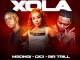 Msongi – Xola Ft. Cici, Sir Trill & Dot Mega